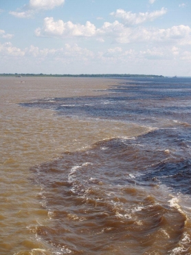 Rencontre des eaux du Rio Negro, de l’autre les eaux marrons de l’amazone