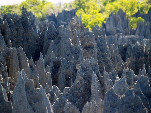 Les tsingy de Madagascar