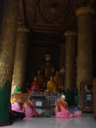 Nones devant Bouddha